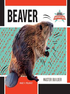 cover image of Beaver